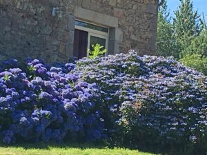 Les Trégorines "Les Ajoncs" pour des vacances d'exception Les Trégorines "Les Ajoncs" pour des vacances d'exception