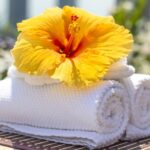 Les Trégorines Des services bien pensés pour un séjour relax Les Trégorines Des services bien pensés pour un séjour relax